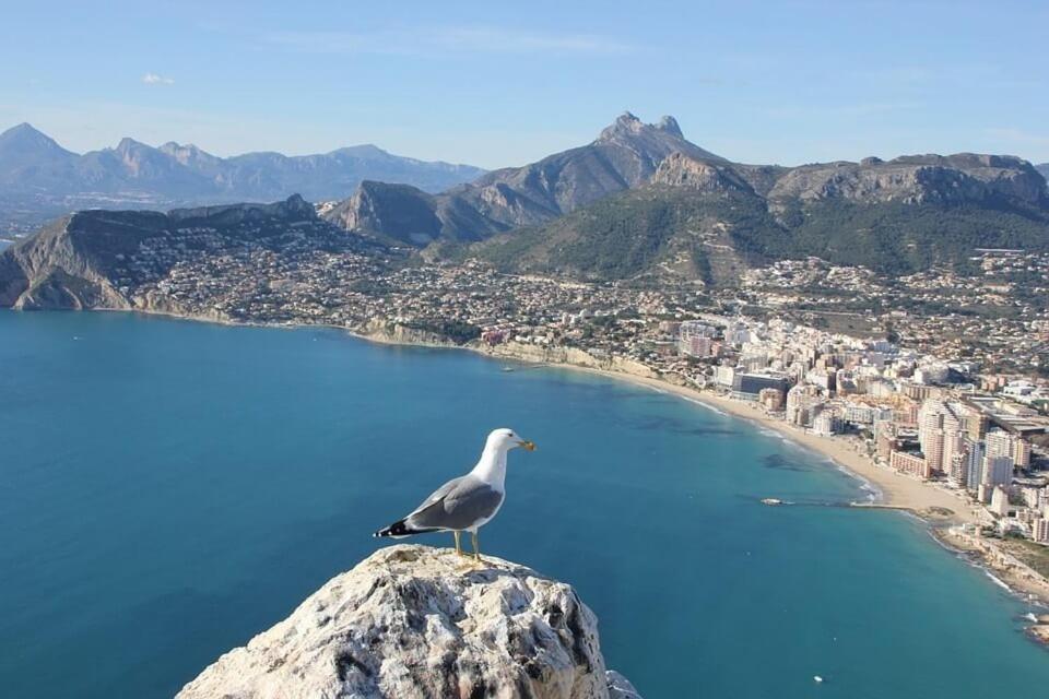 Apartamento Arenal 5 - Plusholidays Calpe Zewnętrze zdjęcie